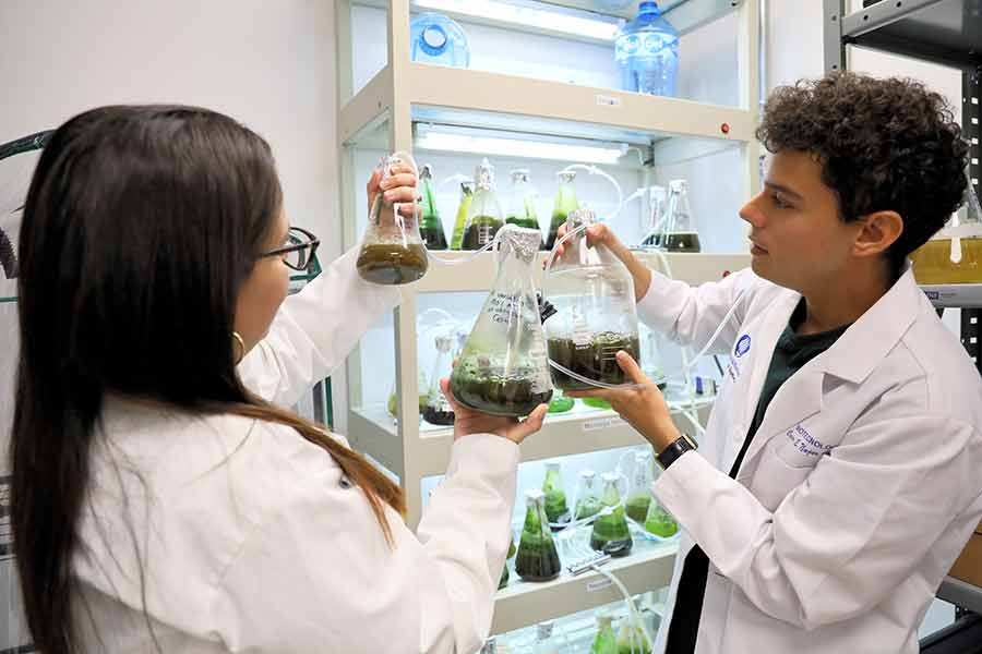 Innovaci&oacute;n tecnol&oacute;gica para tequila, para aprovechar residuos y vinazas, desarrollado por profesora del Tec Guadalajara.