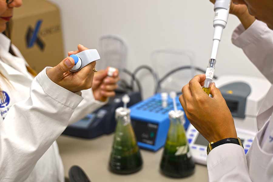 Innovaci&oacute;n tecnol&oacute;gica para tequila, para aprovechar residuos y vinazas, desarrollado por profesora del Tec Guadalajara.