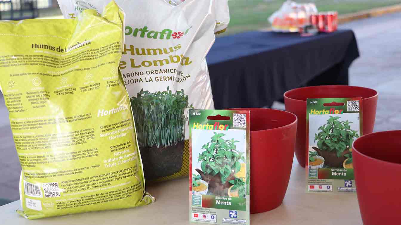 Se eligió sembrar plantas de menta