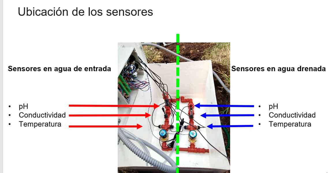 Investigación del Tec Guadalajara ayuda a mejorar la producción de berries. 