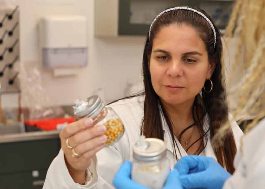 Investigaci&oacute;n hongos comestibles.