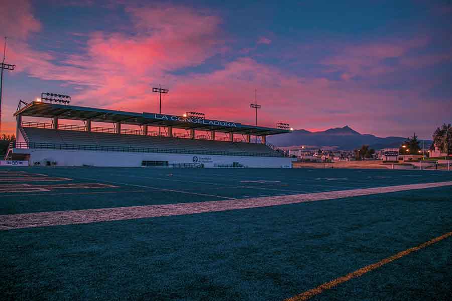 El estadio borregos cocido como La Congeladora es el único en México que tiene pasto sintético en color azul