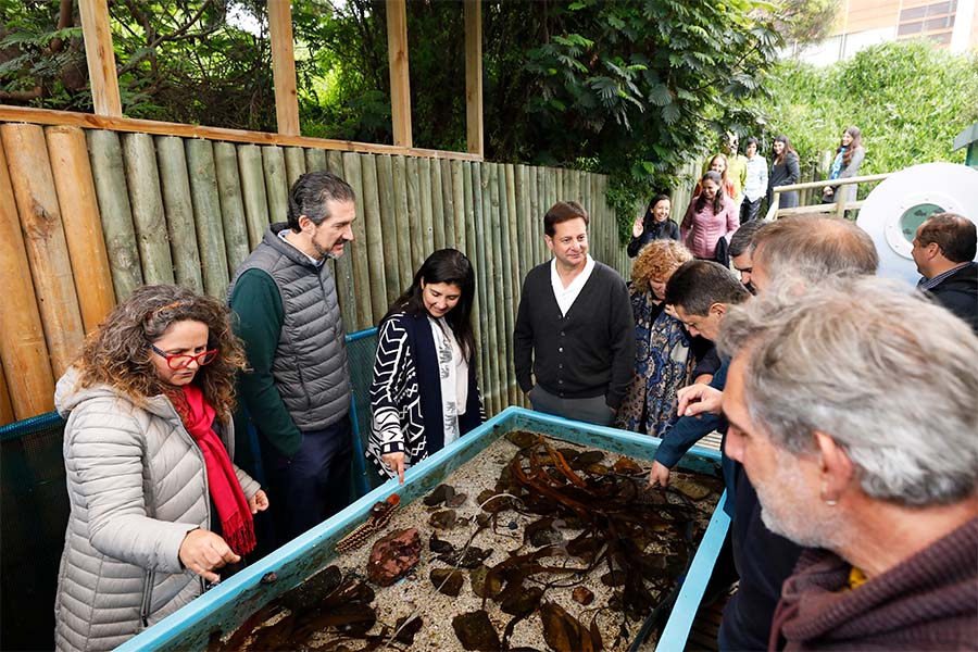 Esta quinta edición de la reunión se llevó a cabo en la Estación Costera de Investigaciones Marinas de la UC en Las Cruces y en la casa central y campus San Joaquín de la Universidad Católica.