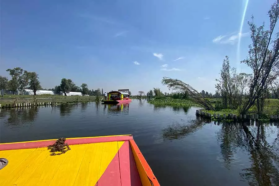 Desarrollo sustentable, Tec región CDMX