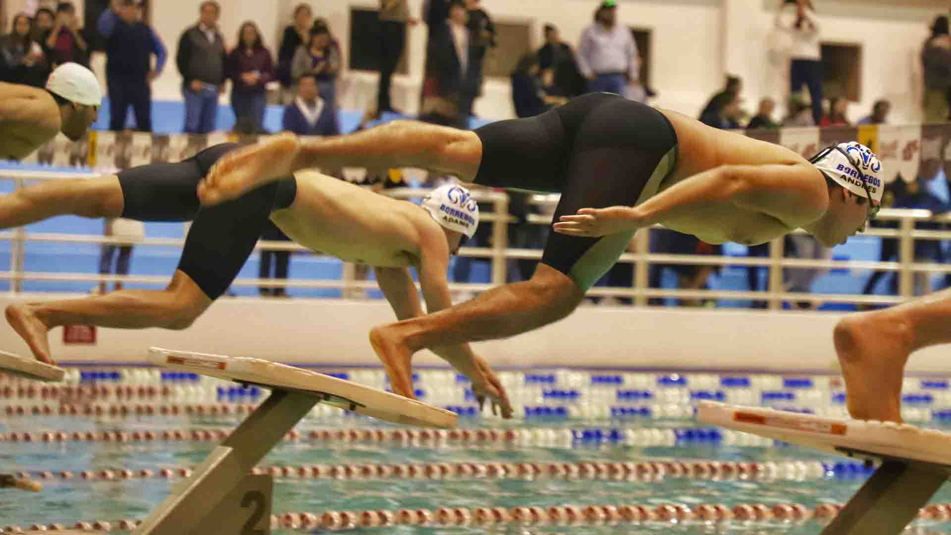 Seis Borregos Laguna claisifcaron al nacional de natación en invierno