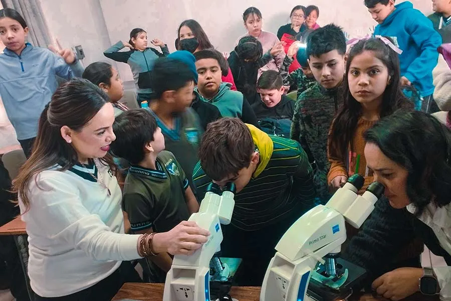 Niños observando muestras en un taller de ciencia con Teachando Ando.