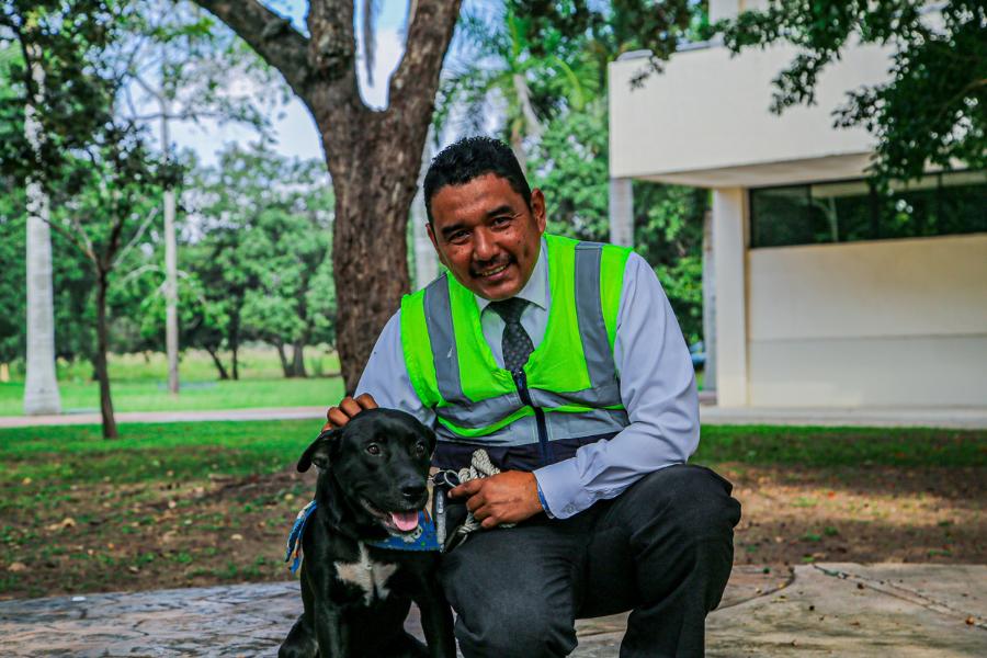 nuevo-guardián-peludo