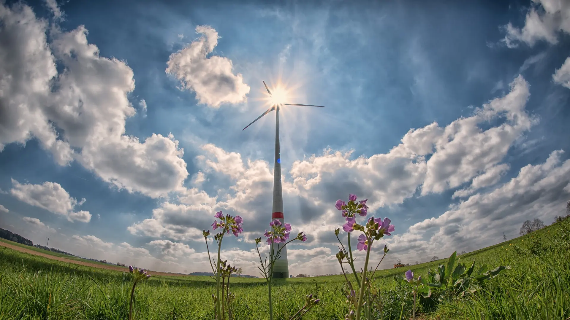 Más allá de la reducción de emisiones contaminantes en el medio ambiente la utilización de energías limpias entre la población reduciría el costo de la vida a mediano plazo.
