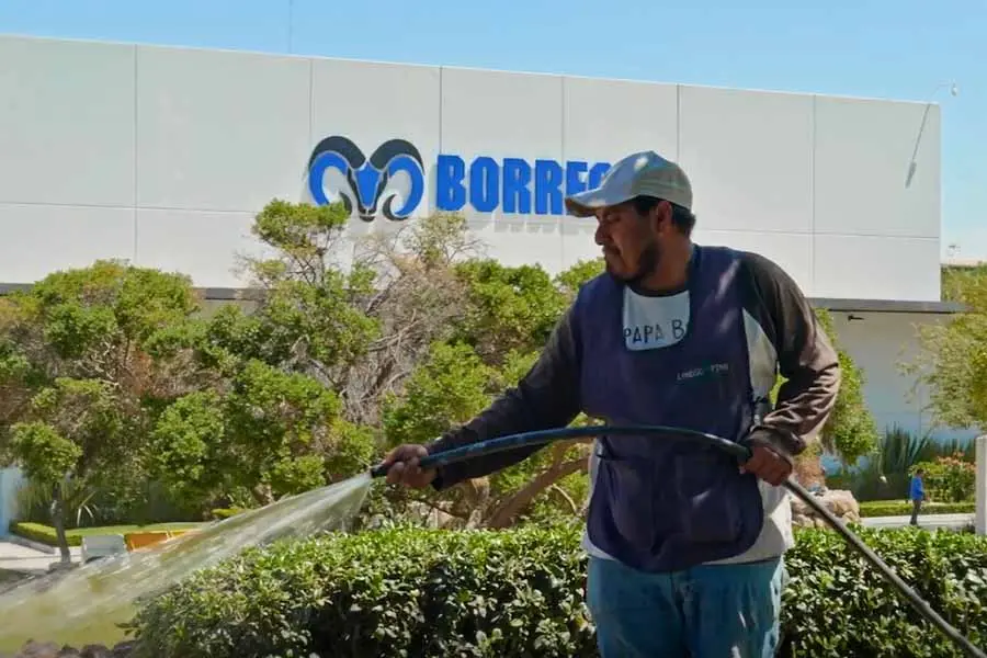 Hombre regando las áreas verdes con agua tratada.