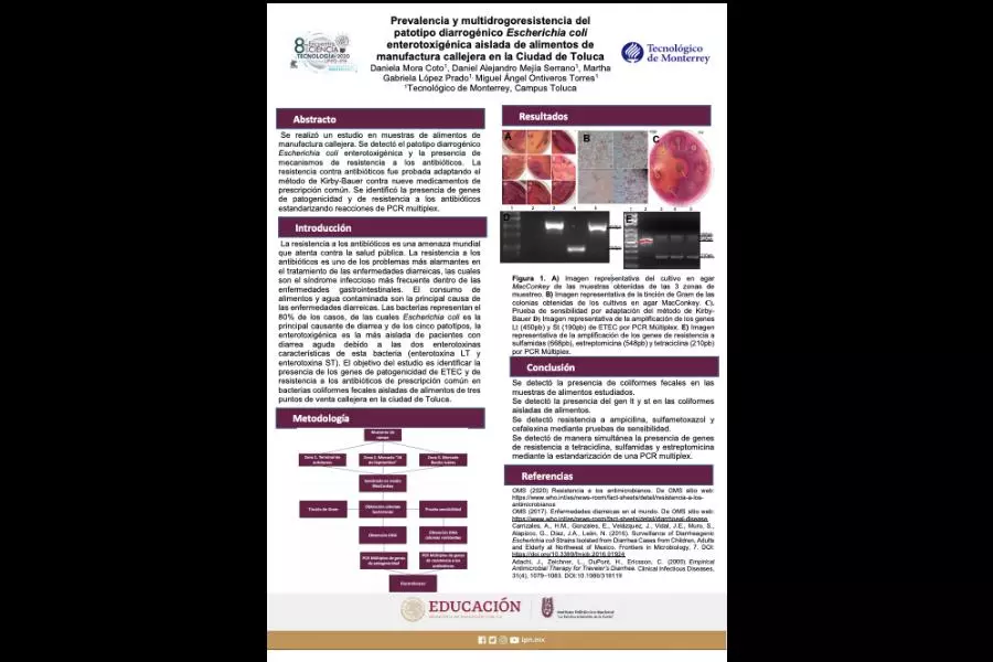 Poster ganador
