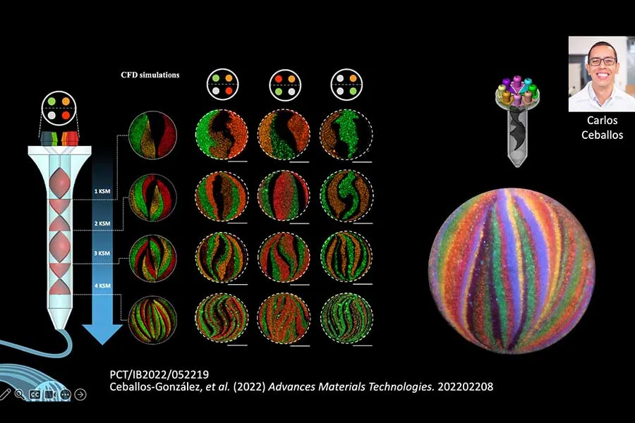 Investigaci&oacute;n Carlos Ceballos sobre impresi&oacute;n ca&oacute;tica.