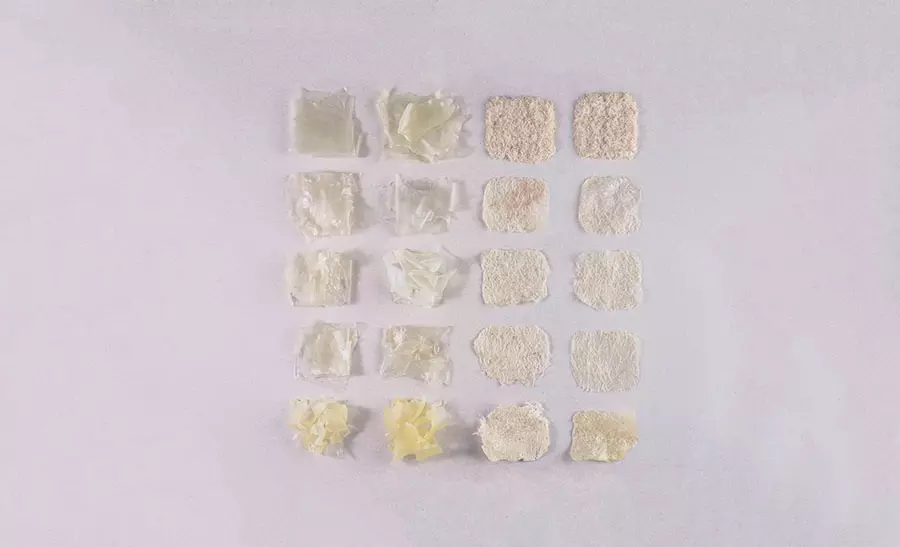 proceso del agave a plástico