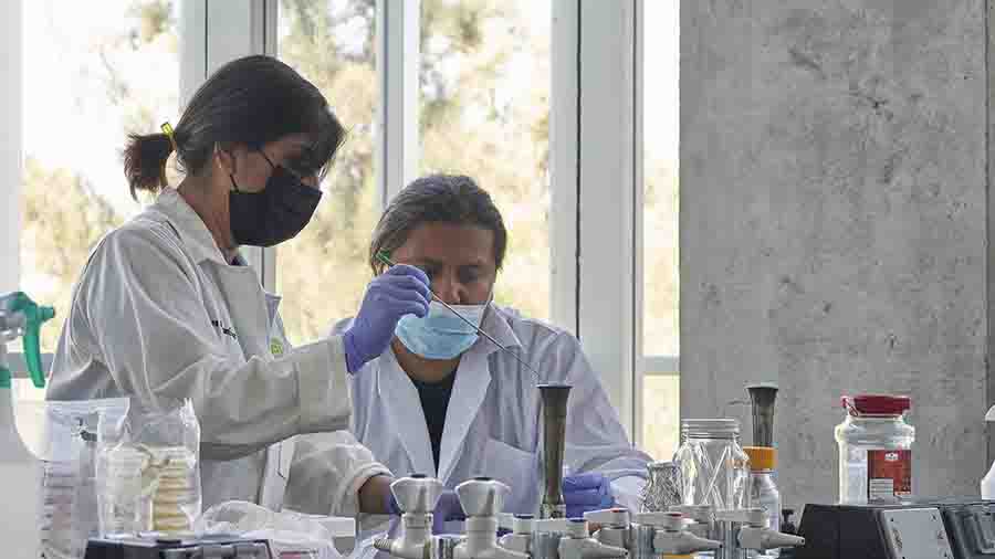 Profesora tec queretaro ganadora premio mujer Tec en Ciencia