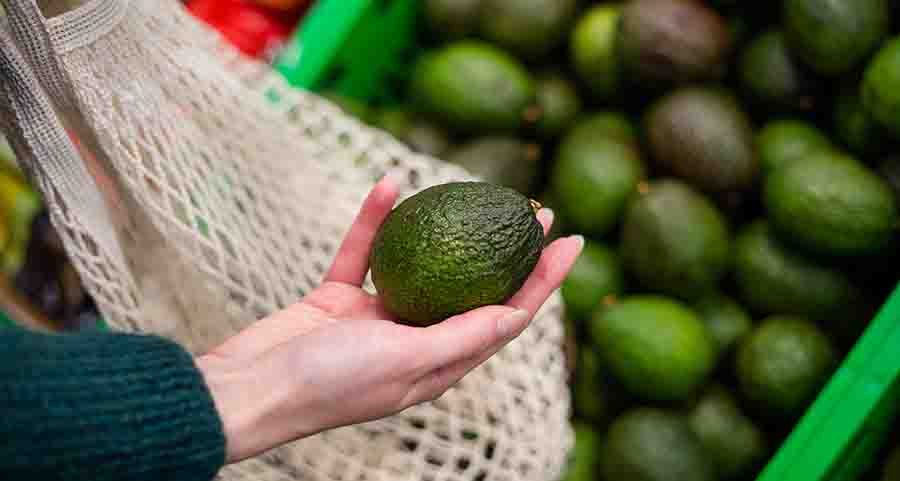 Profesora del Tec explica el bloqueo del aguacate mexicano por Estados Unidos.