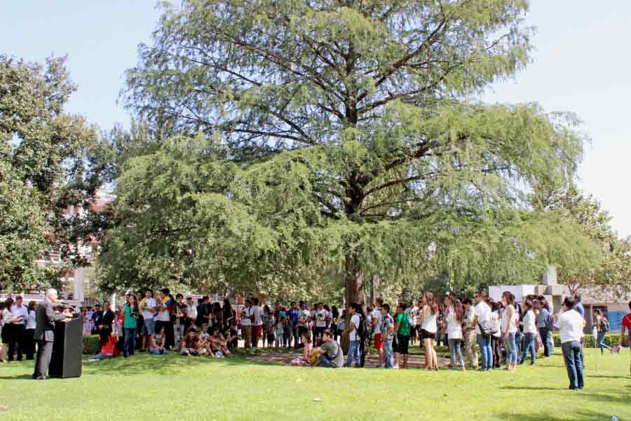 Reunión en torno al Árbol de la Fraternidad