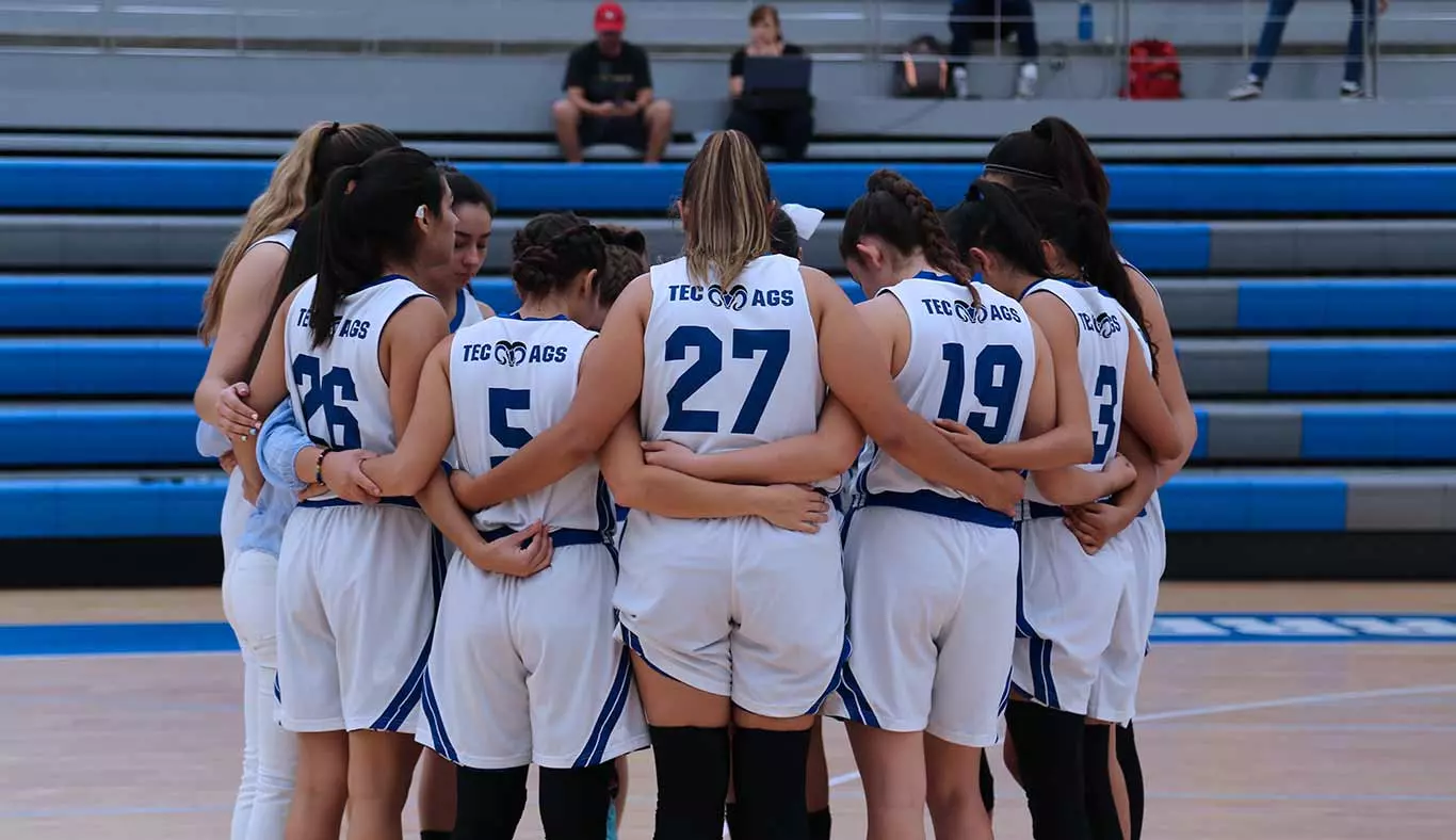 Trabajo en equipo