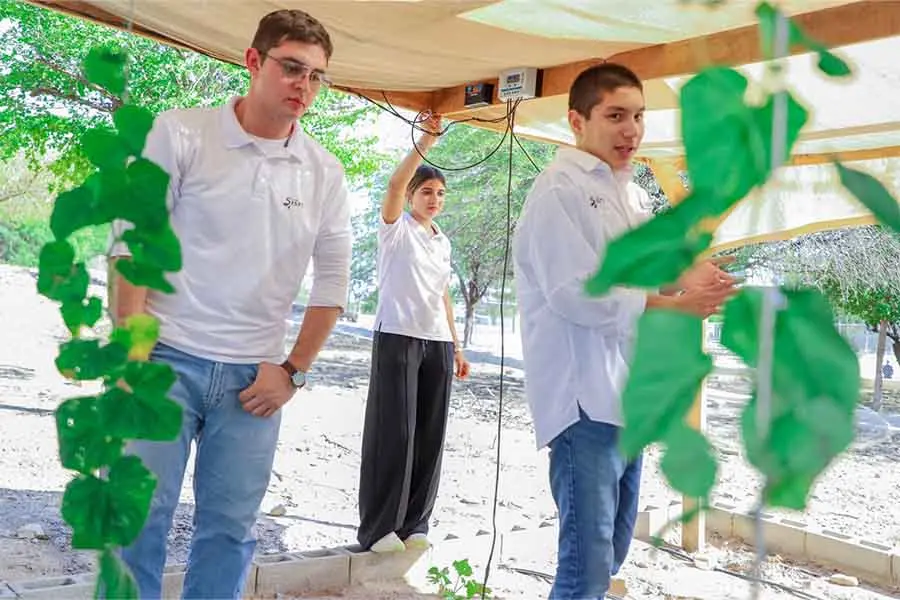 Tres alumnos de preparatoria trabajan en un peque&ntilde;o huerto.