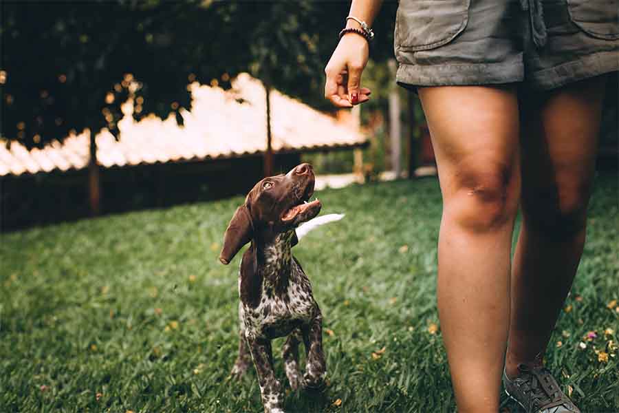 5 “snacks de ejercicio” para decirle adiós al estrés 