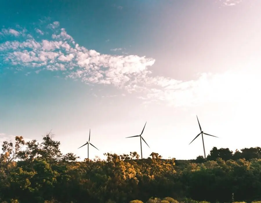 Equipo interdisciplinario al servicio del proyecto 