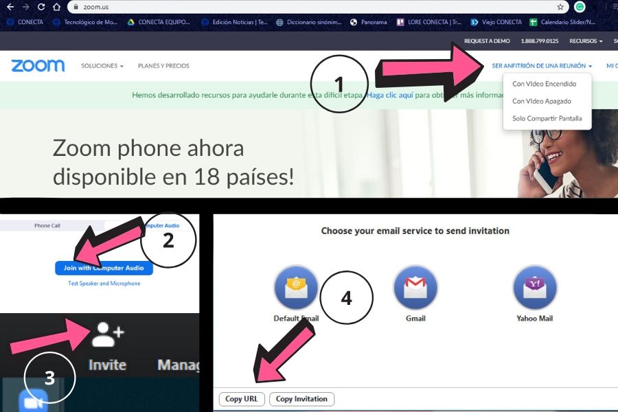 Capturas de pantallas de Zoom que explican los pasos para realizar un videoenlace