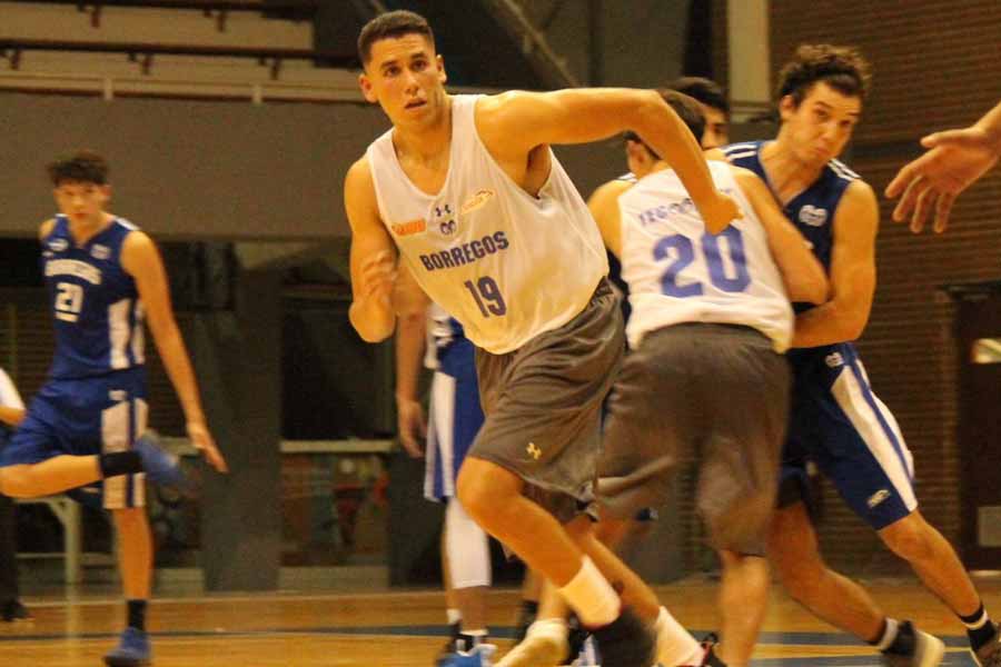 Orlando Torrego  jugó como poste con Borregos Monterrey de básquetbol.