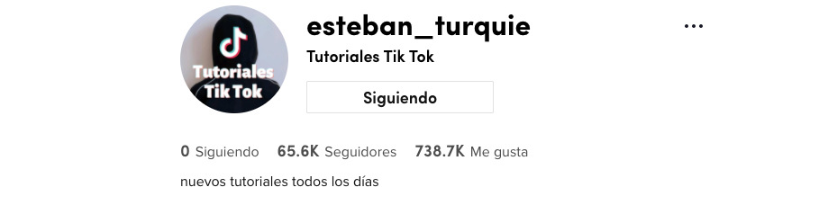 Perfil de @esteban_turquie, TikToker de tutoriales de baile