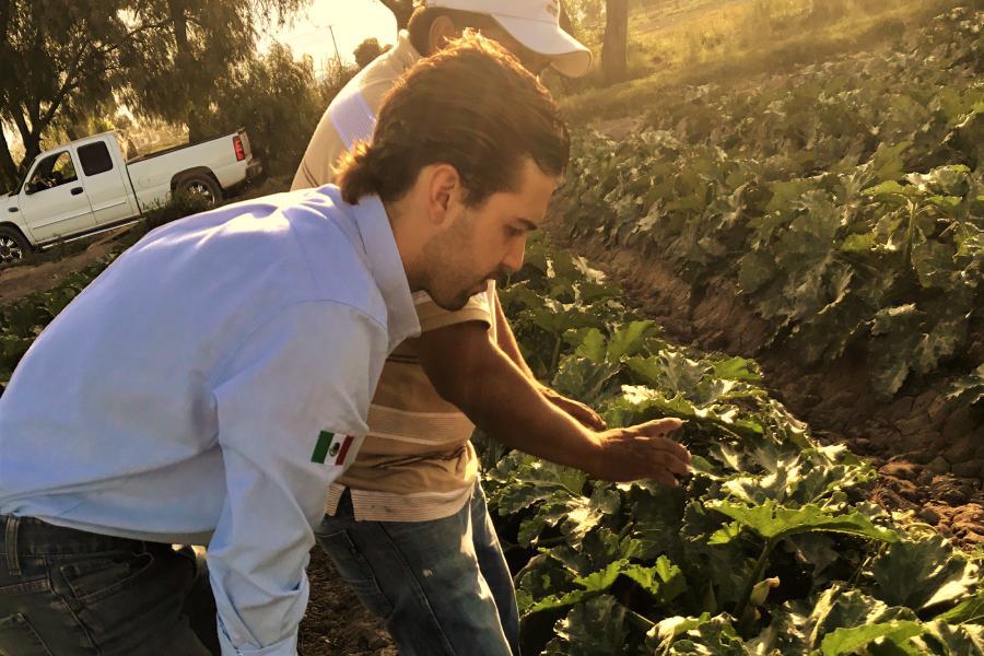 El equipo visita a los productores para garantizar juntos la frescura y la calidad.