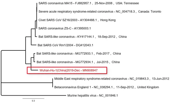 coronavirus