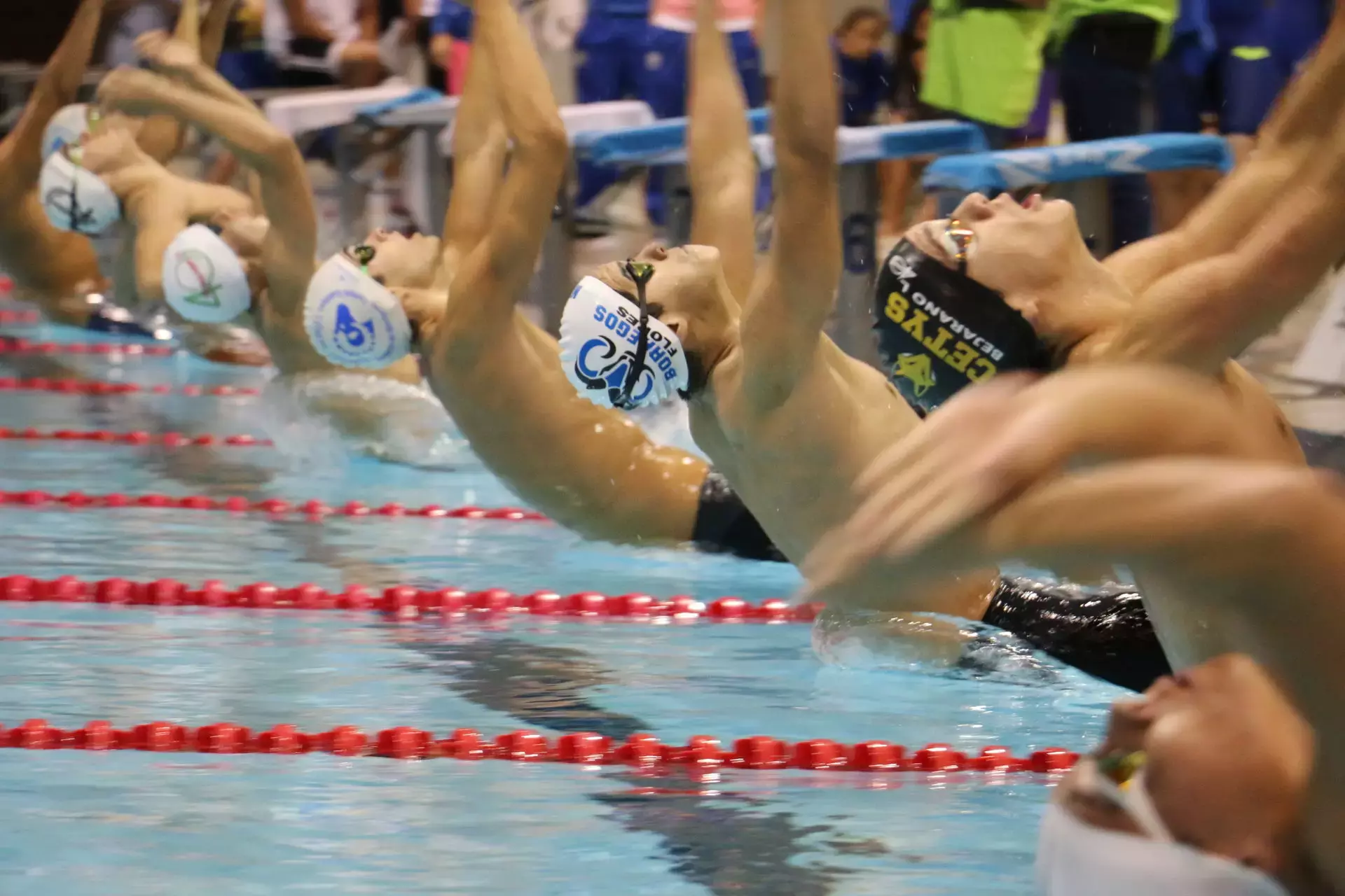 Competencia de Natación CONADEIP 2017