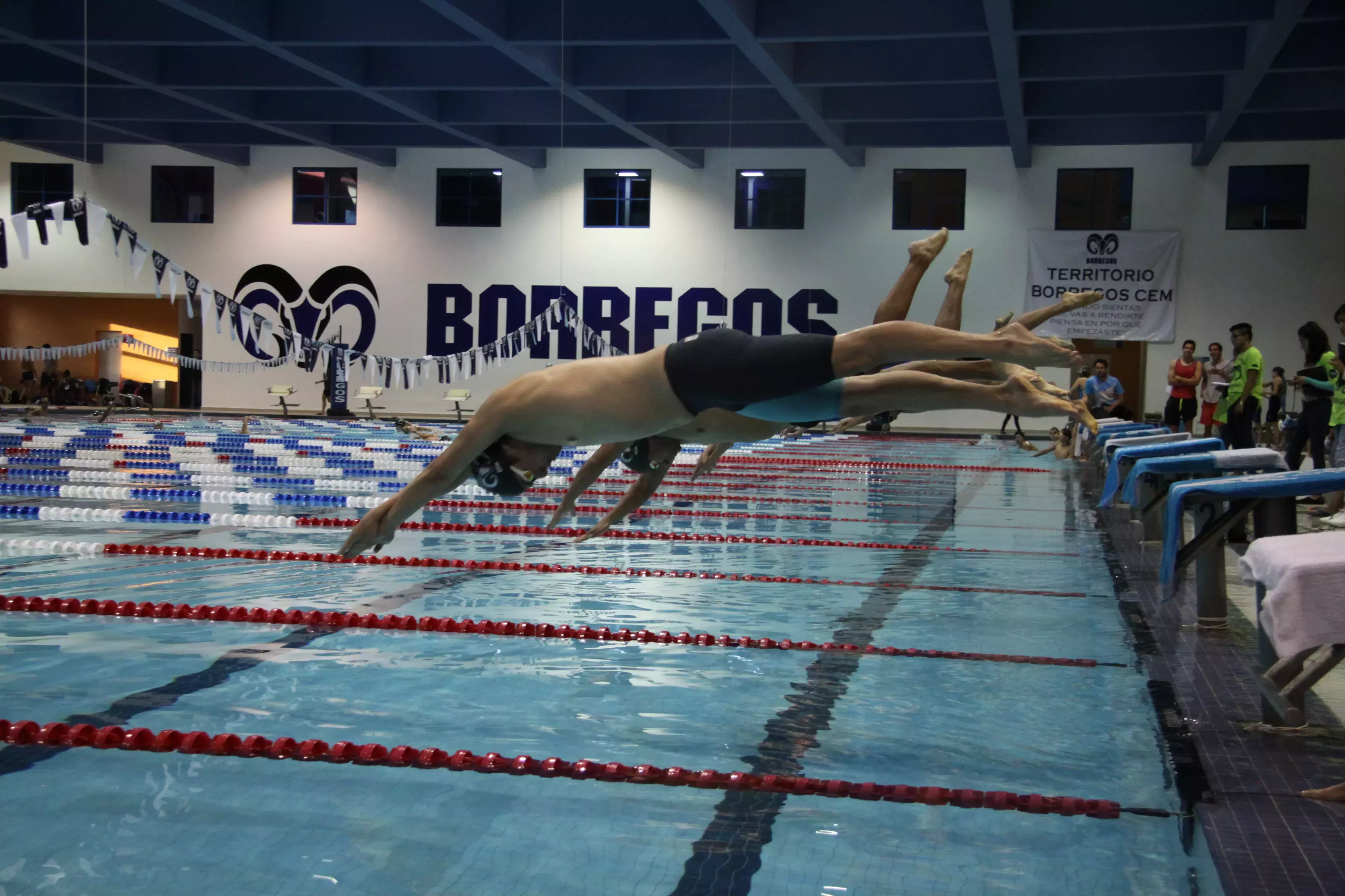 Competencia de Natación CONADEIP 2017