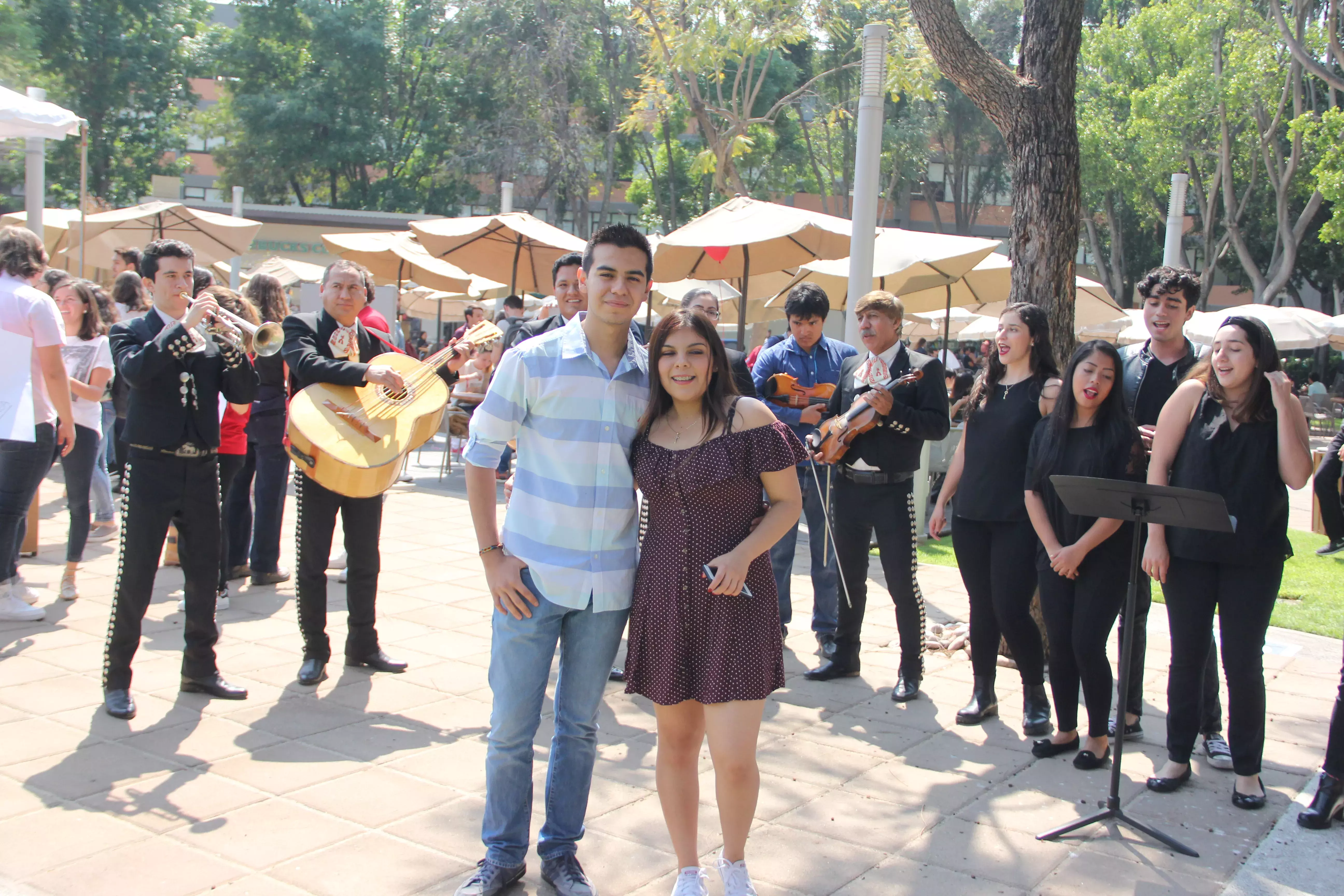 Feria de San Valentín Profesional.