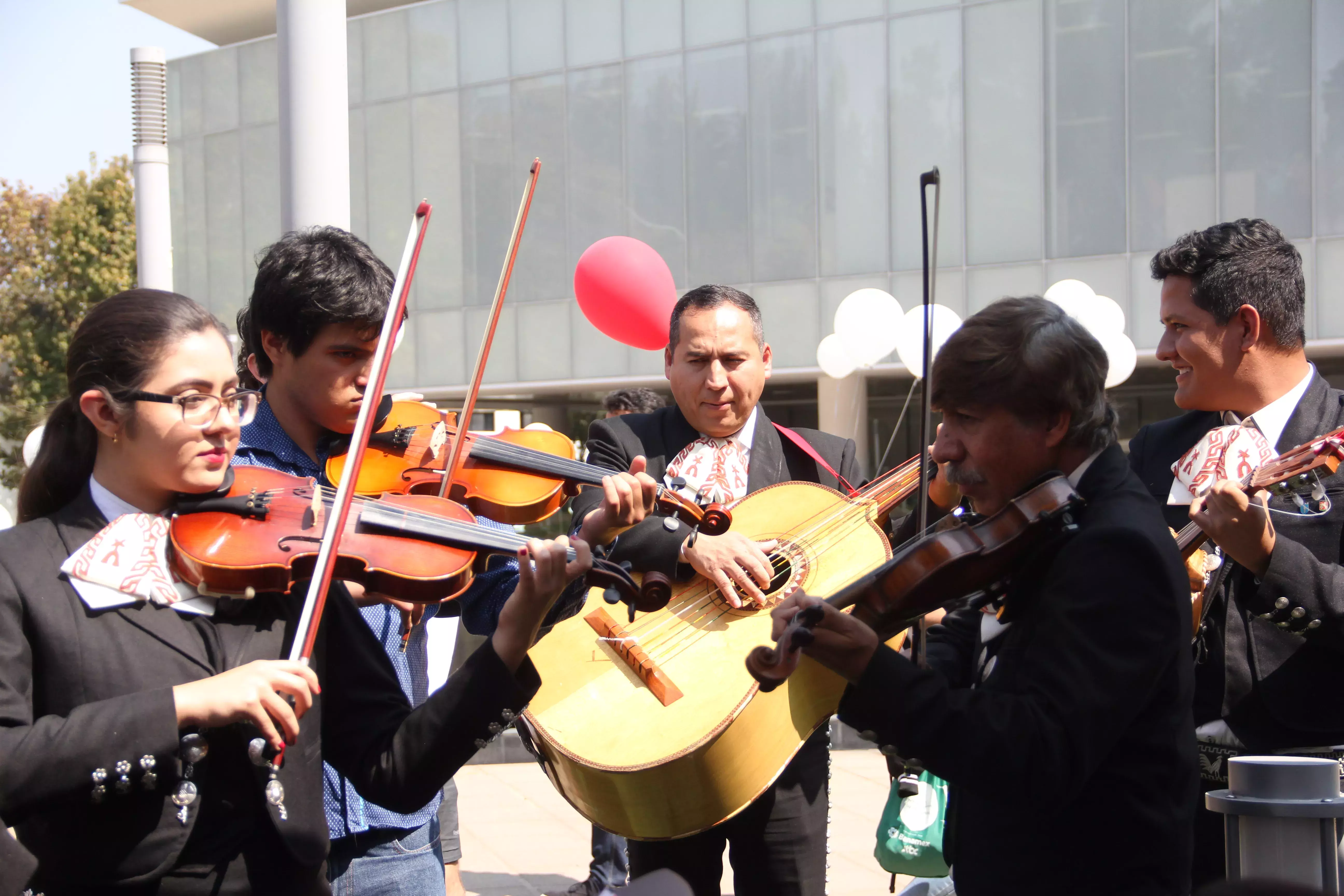 Feria de San Valentín Profesional.Feria de San Valentín Profesional.