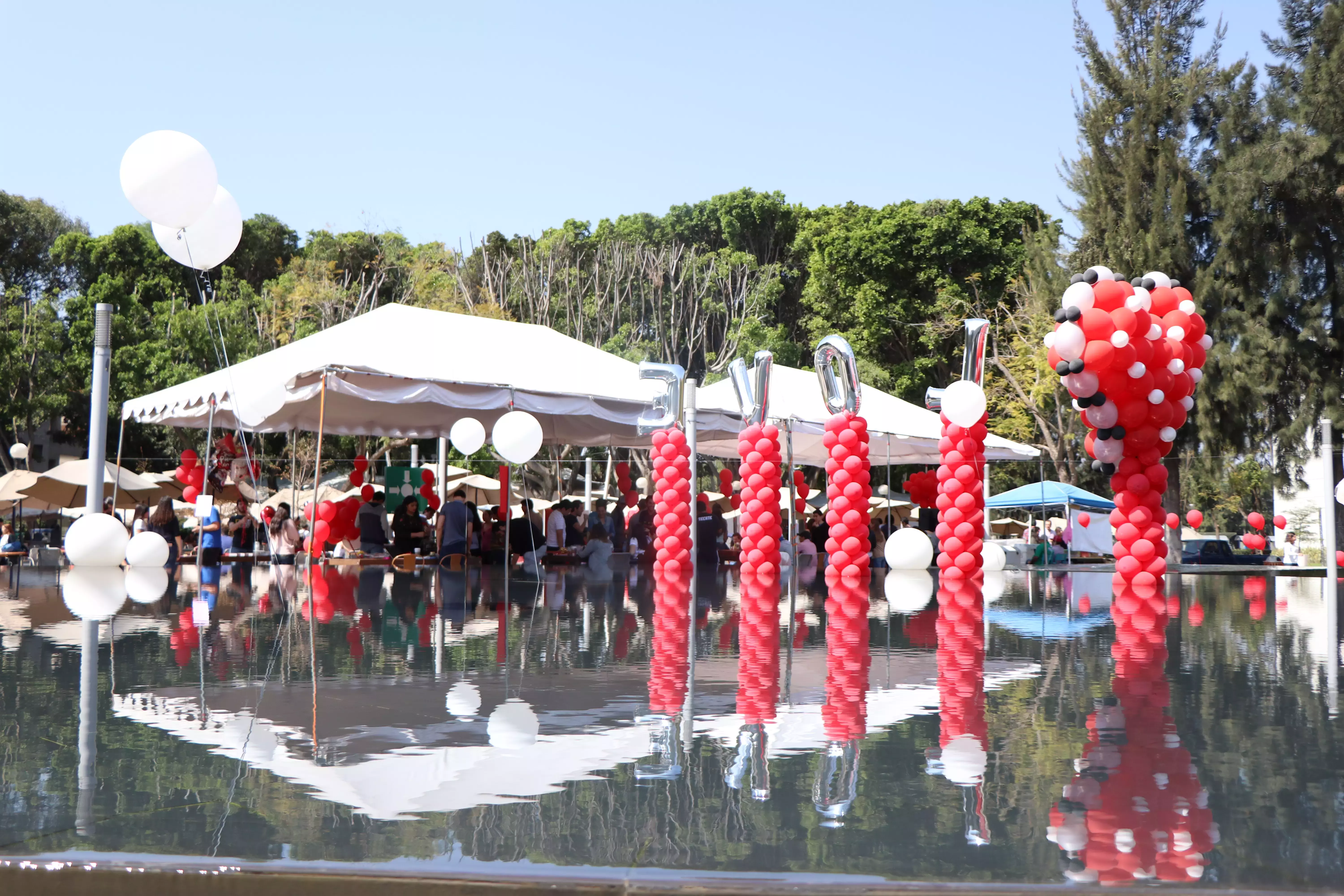 Feria de San Valentín Profesional.