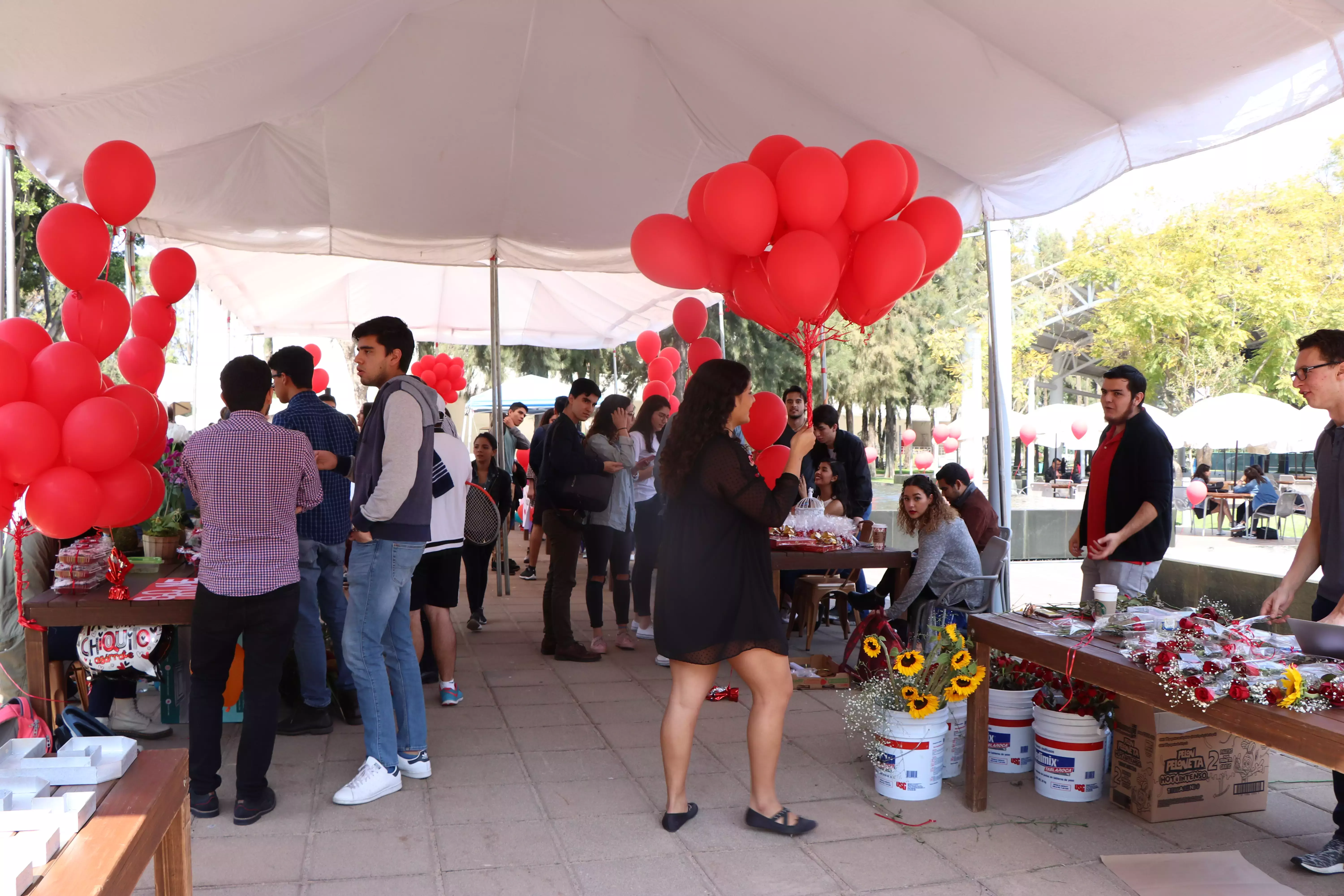 Feria de San Valentín Profesional.