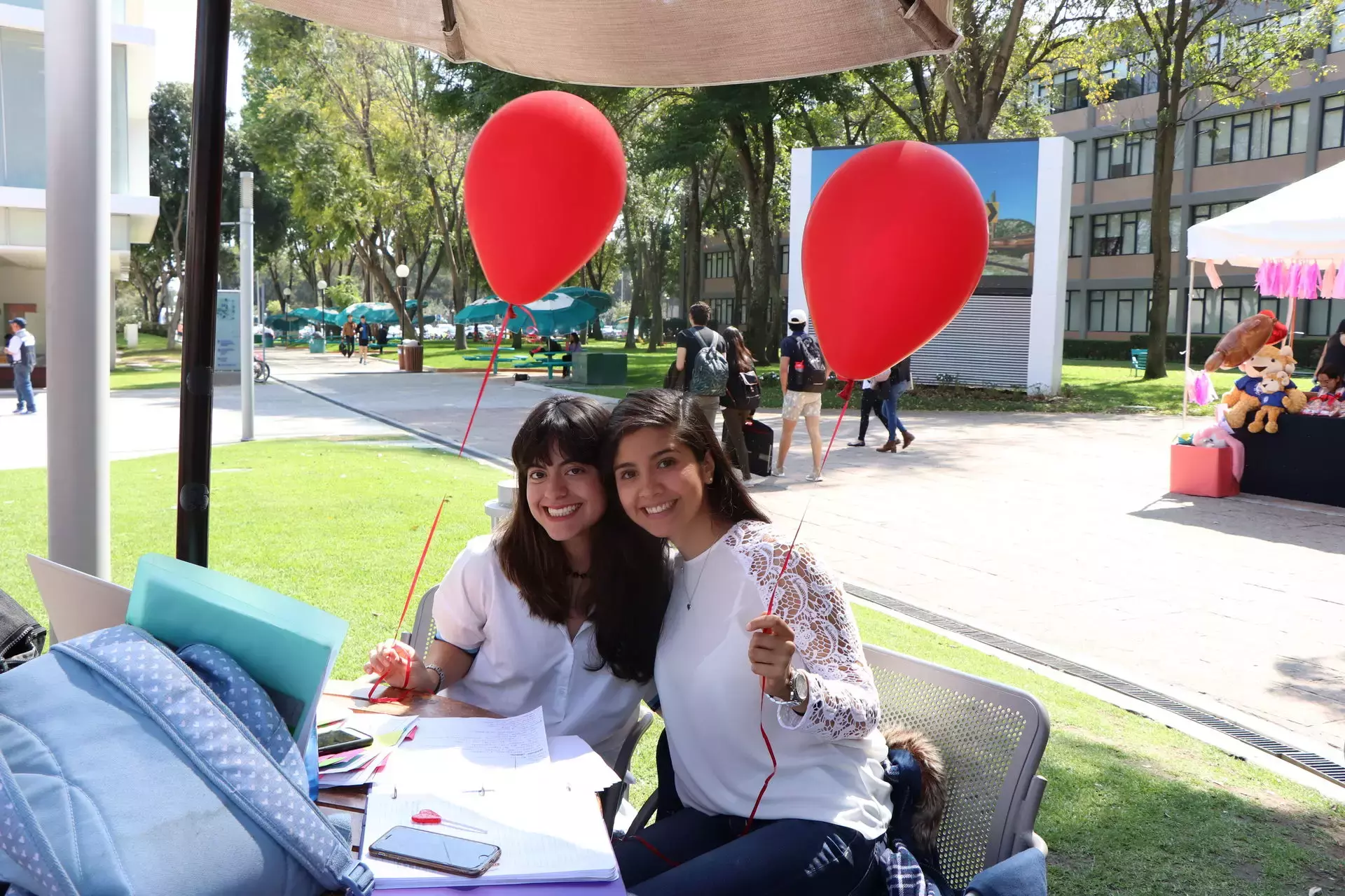 Feria de San Valentín Profesional.