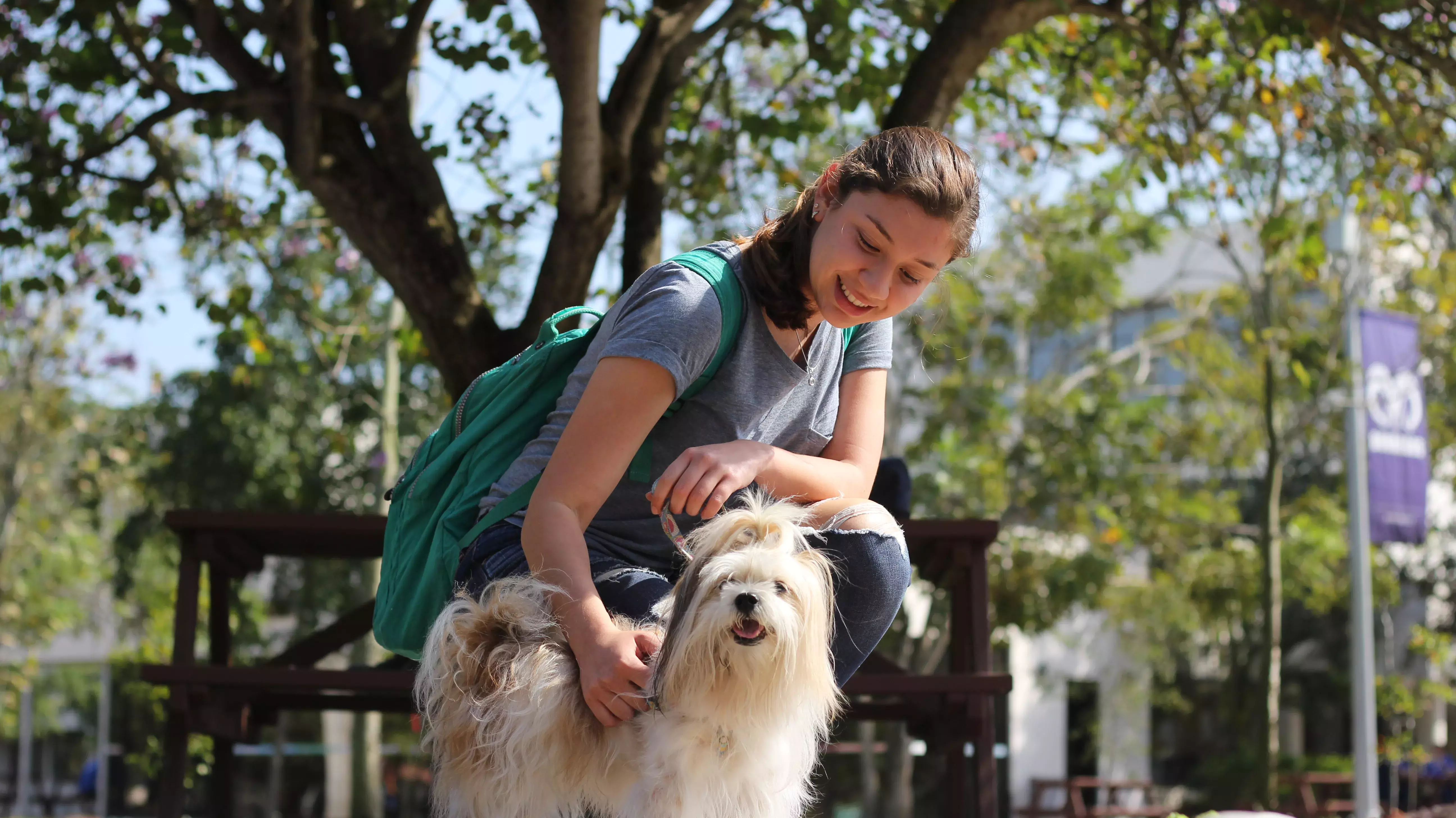 Las mascotas disfrutando del campus