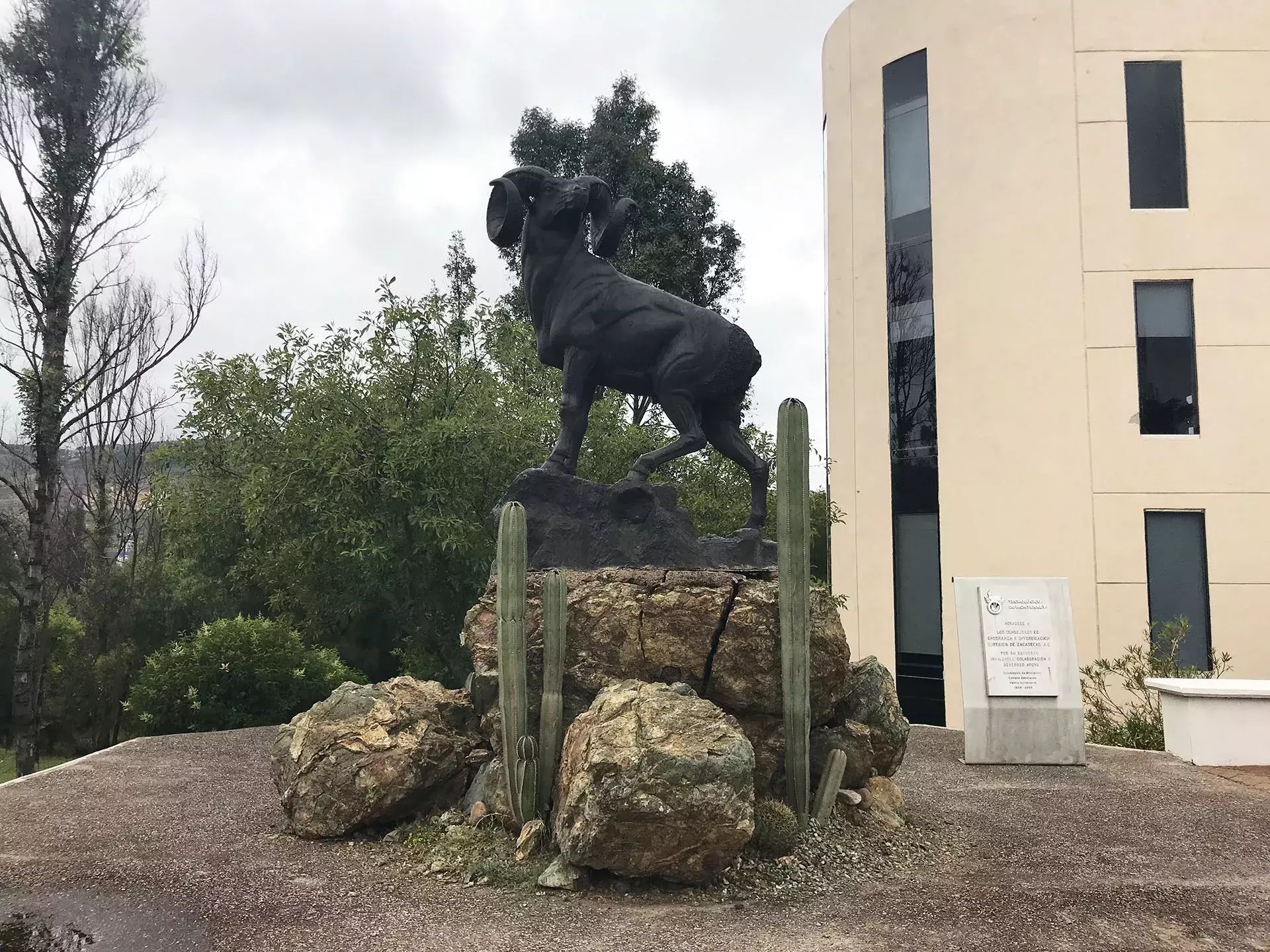 Borrego Campus Zacatecas.