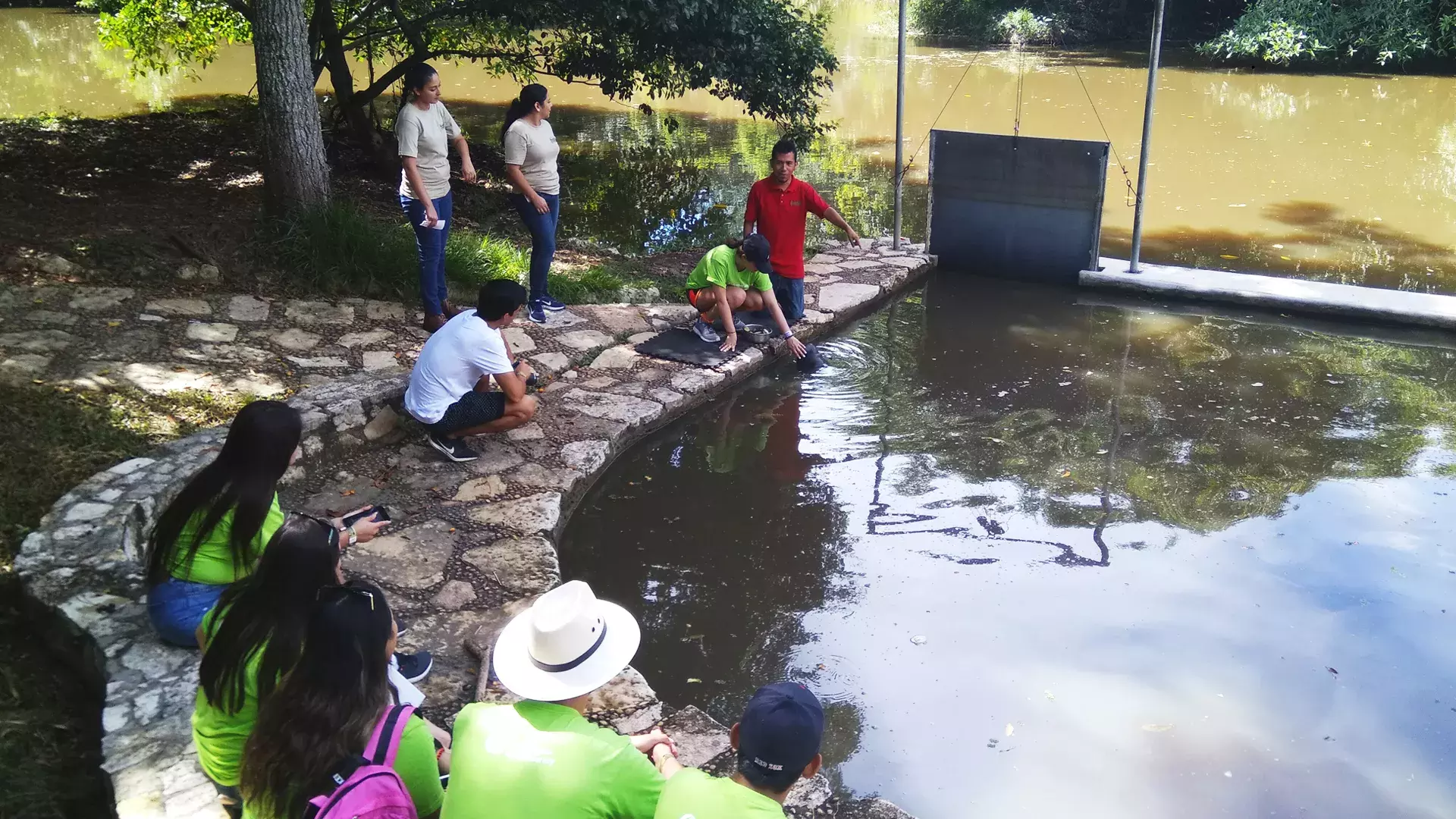 alumnos alimentando manaties