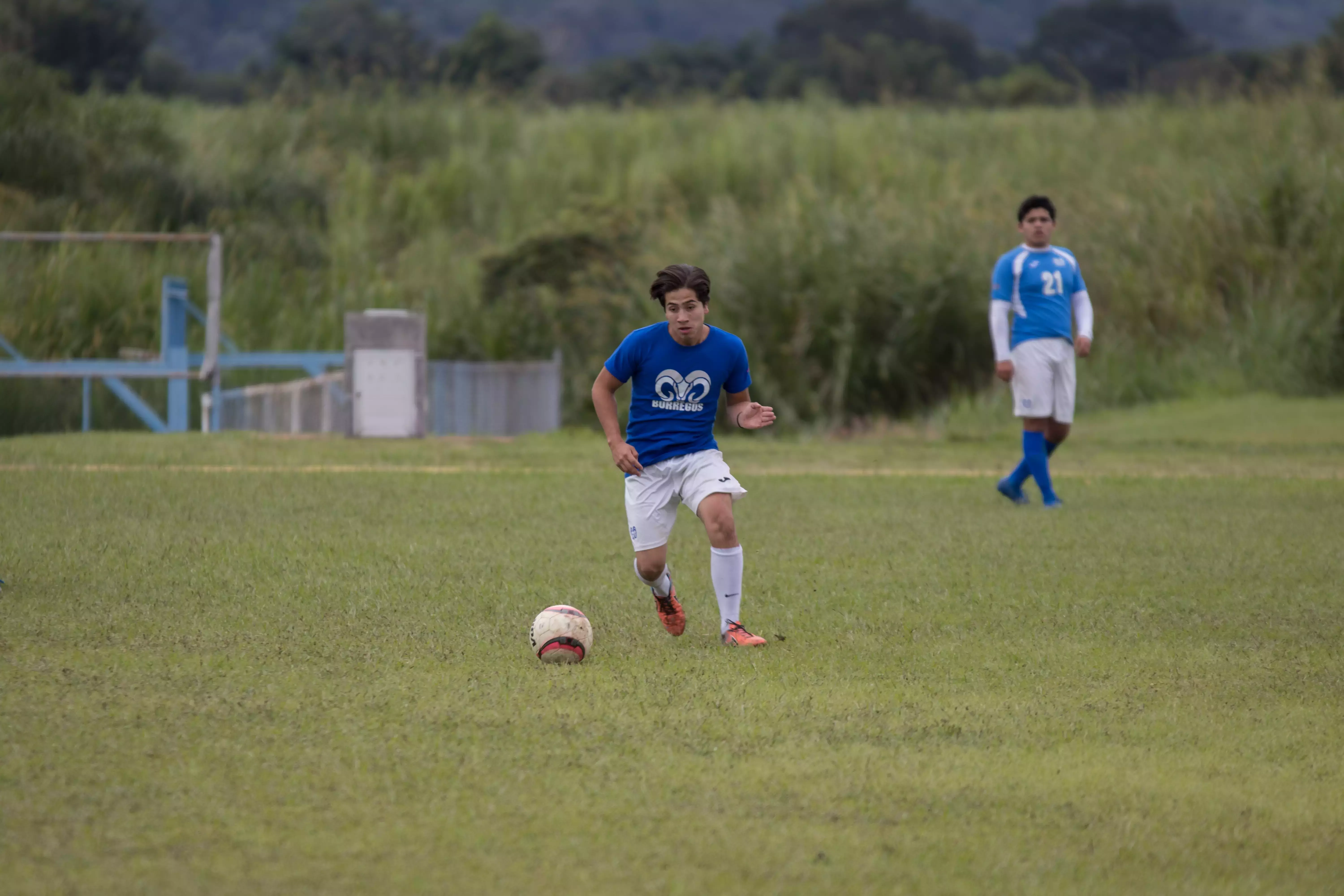 ¿Pasión y talento? Se escribe Copa Borregos