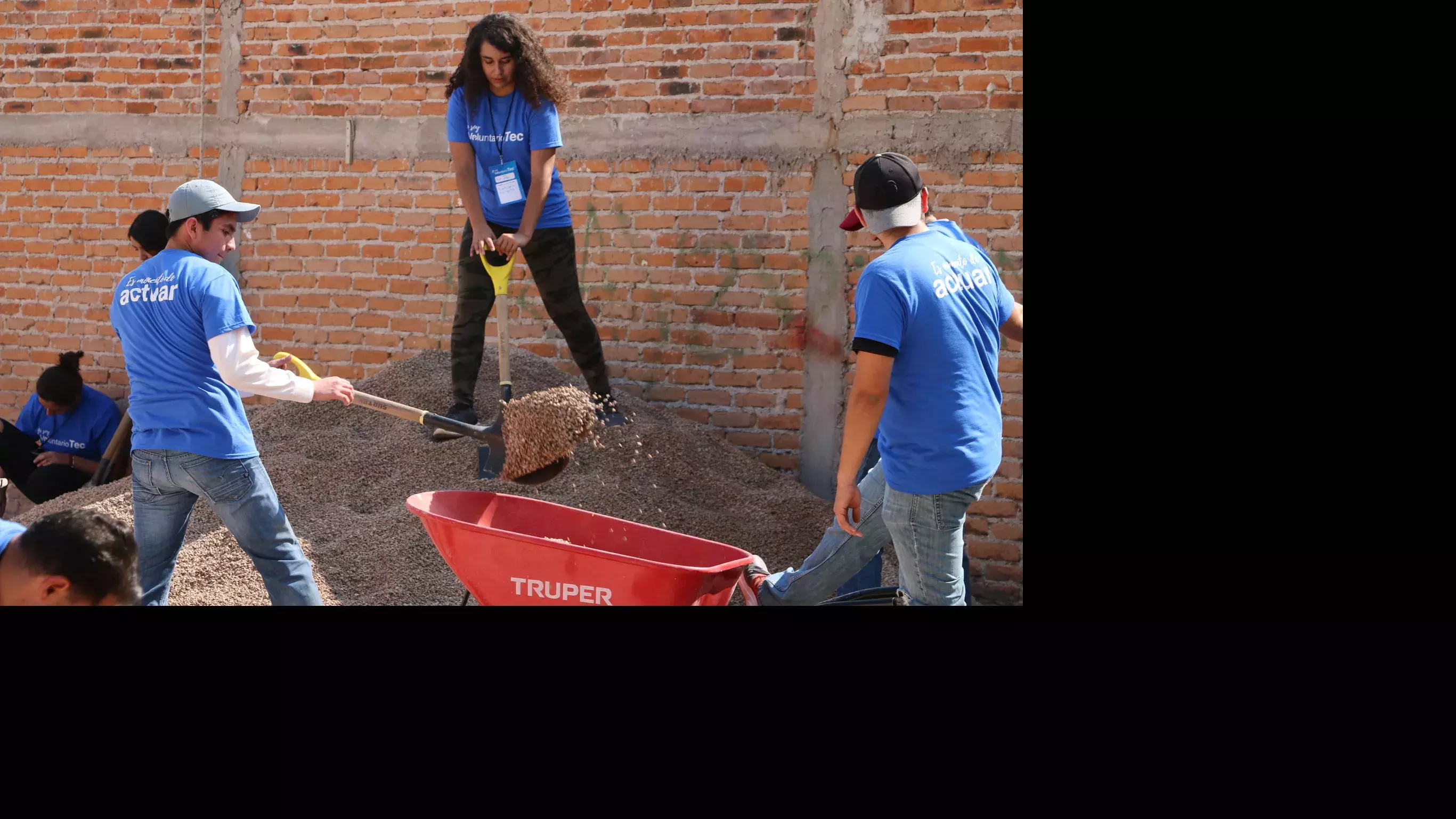 Limpiando las areas para plantar los nuevos arbolitos 