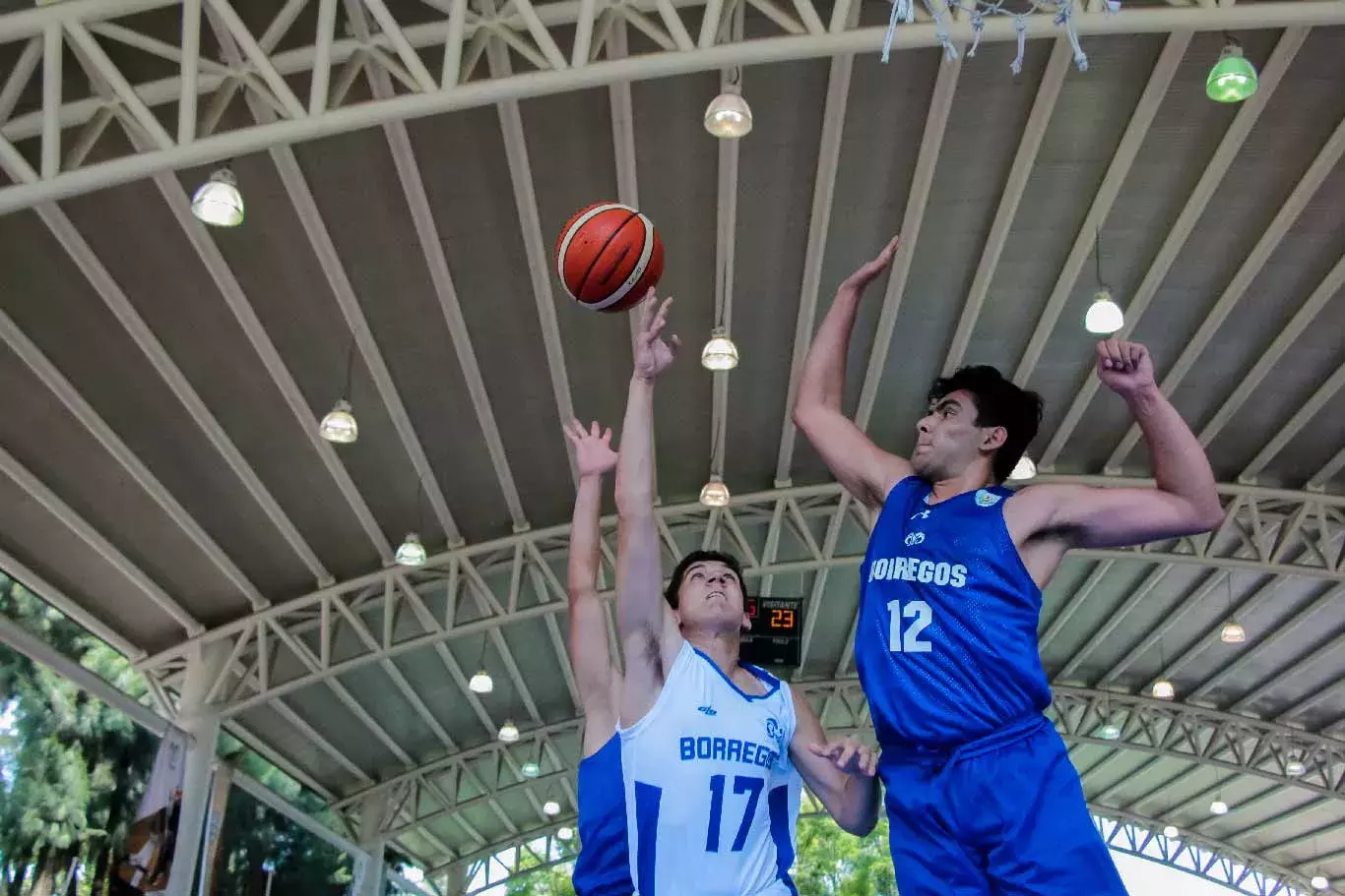 Borregos Zacatecas campeonas de basquetbol baloncesto