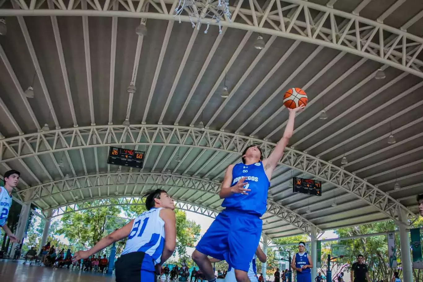 Borregos Zacatecas campeonas de basquetbol baloncesto