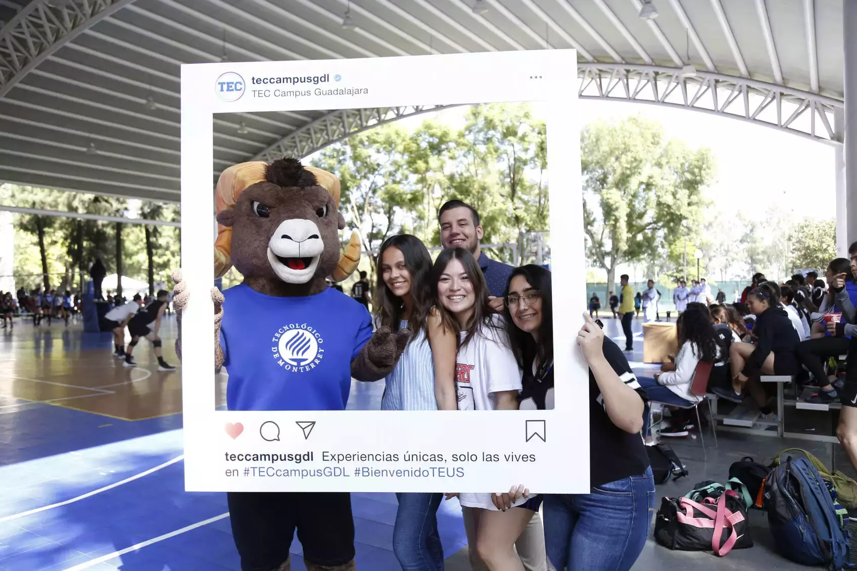 Intercampus 2019