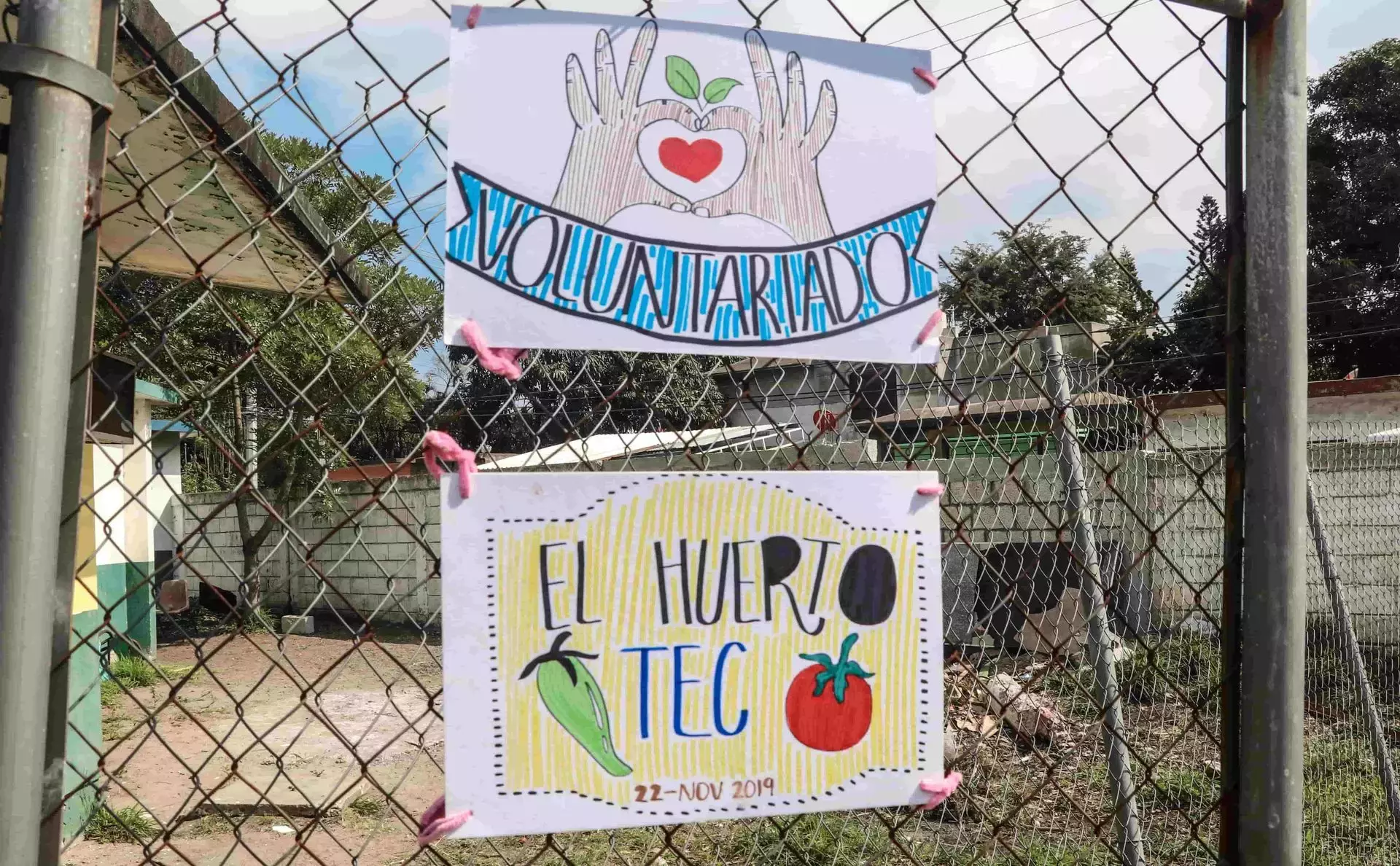 Día del voluntariado en el Tec Campus Tampico