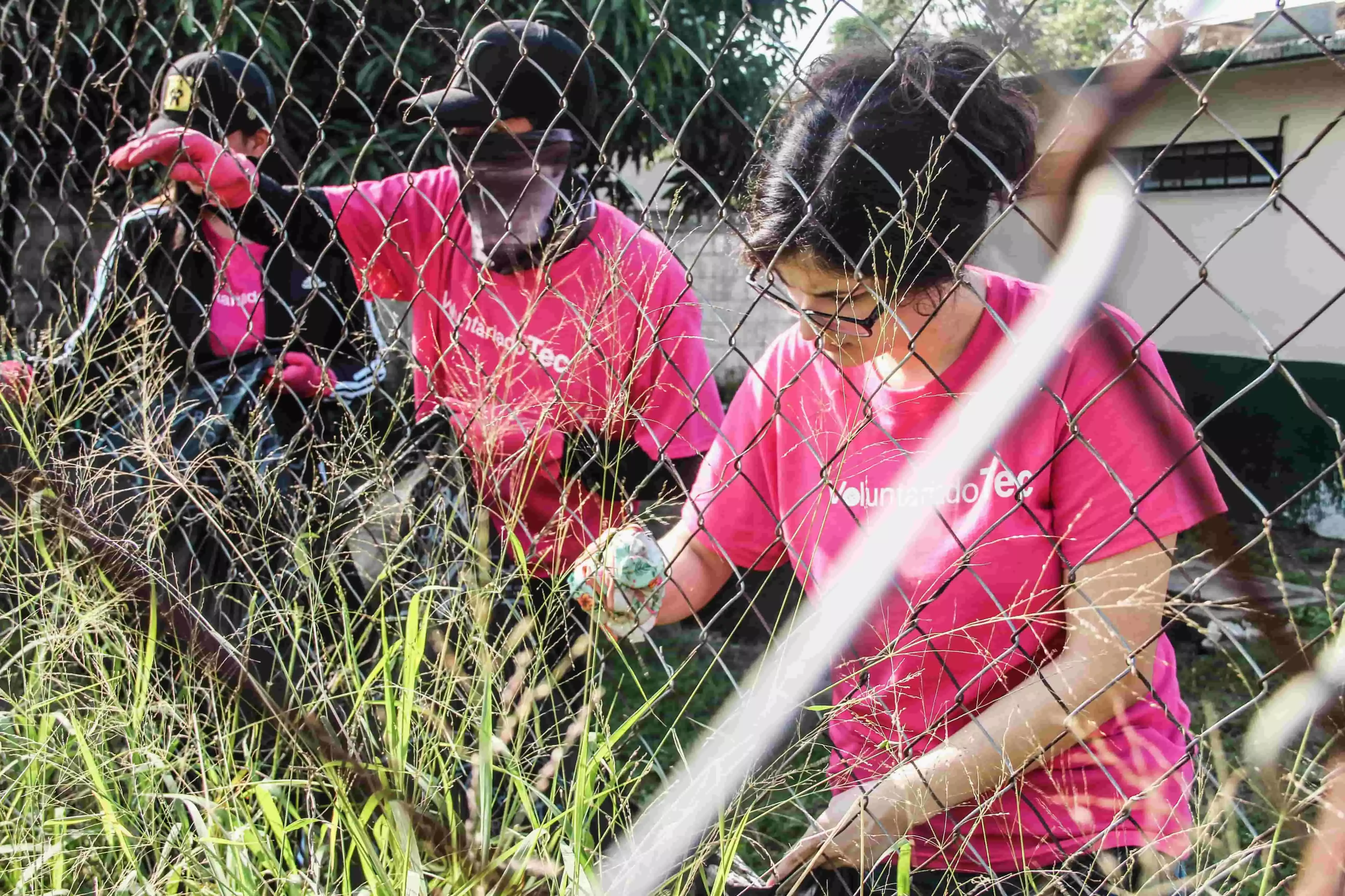 Día del voluntariado en el Tec Campus Tampico