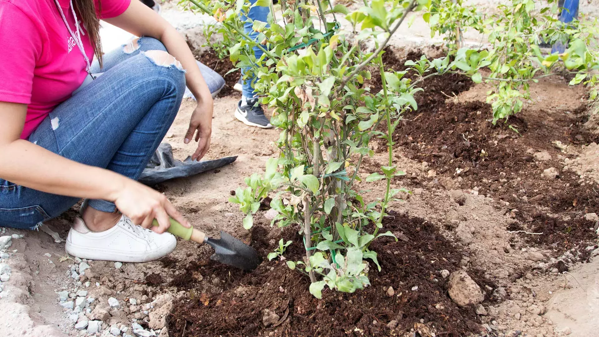 Actividades Voluntariado Escuela Quetzalcóatl de Pachuca