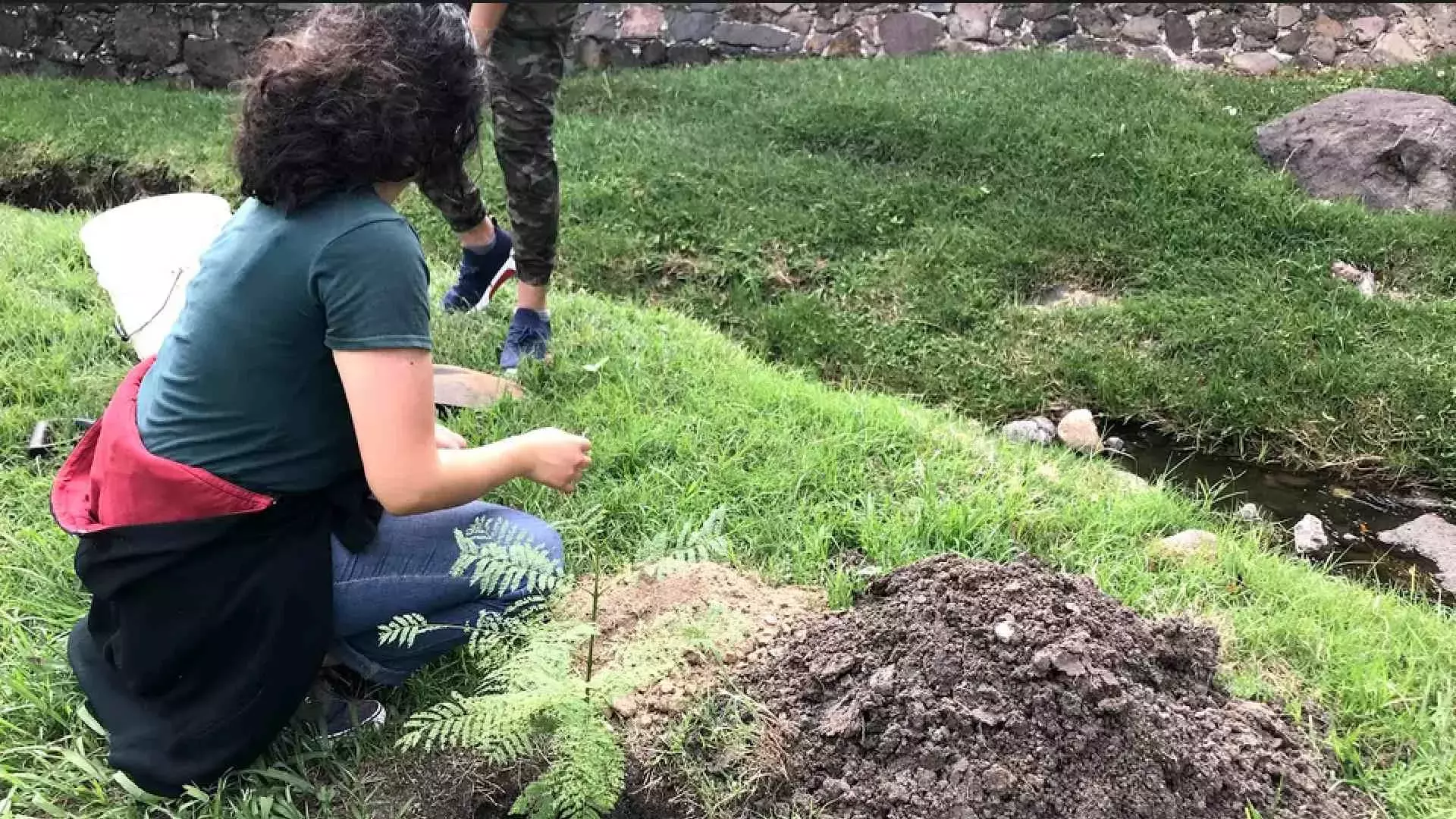 Preparando la tierra para ser plantada.