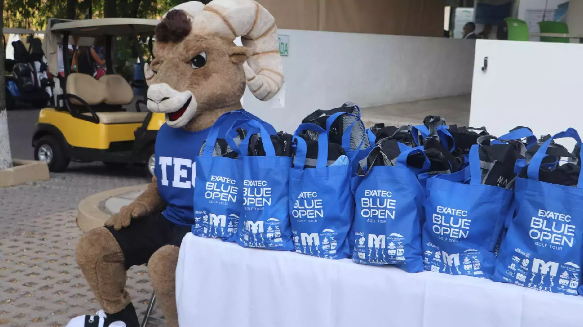 Teus preparándose para regalar varios paquetes