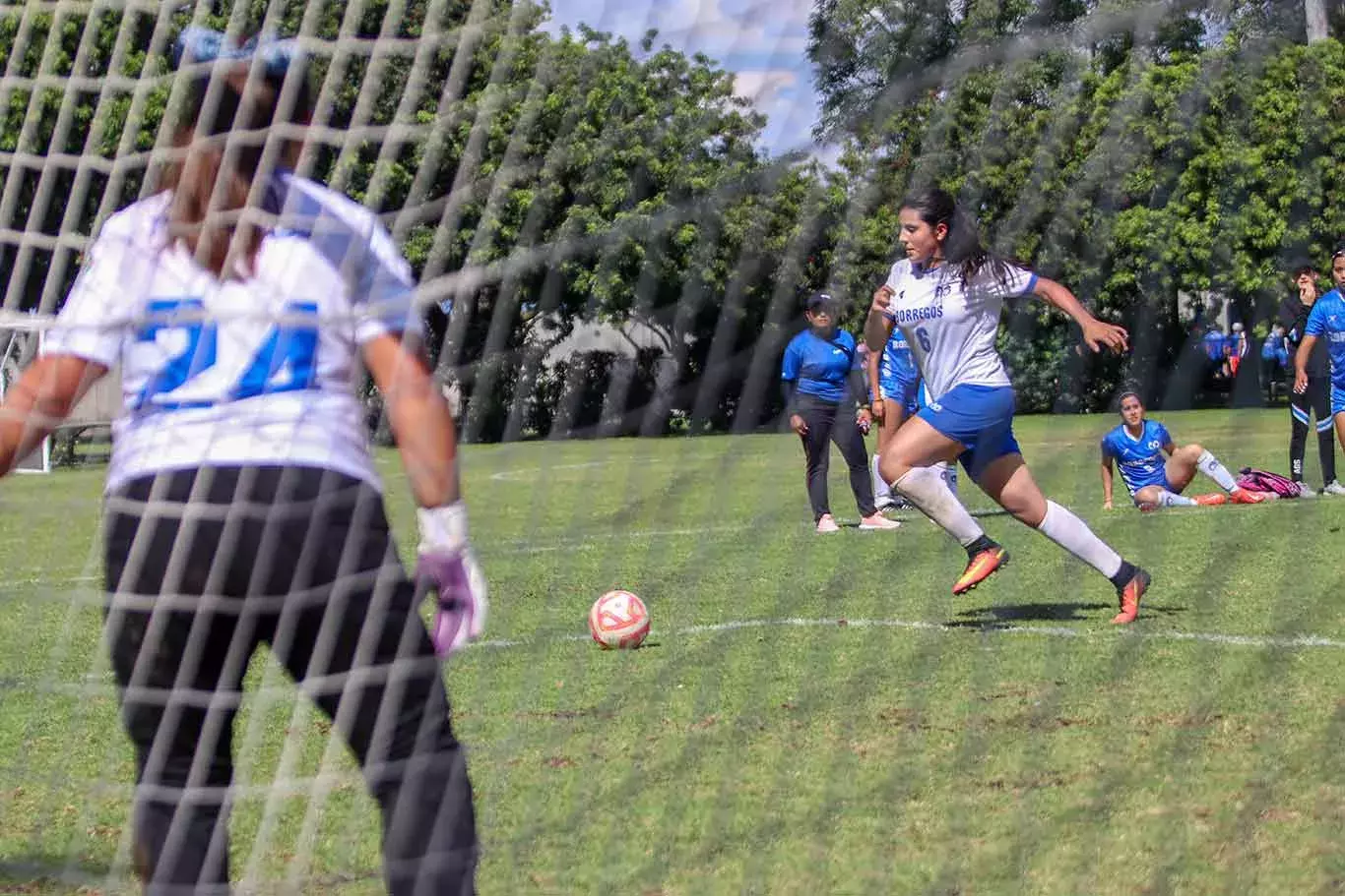 Borregos Intercampus 2022, encuentro deportivo del Tec, realizado en campus Guadalajara.