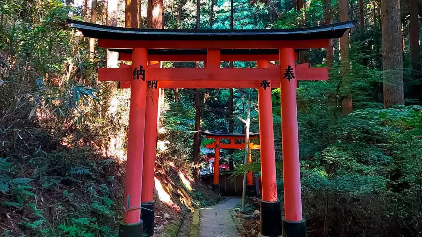 Alumnos de Tec Guadalajara plasman cultura japonesa en arte visual.